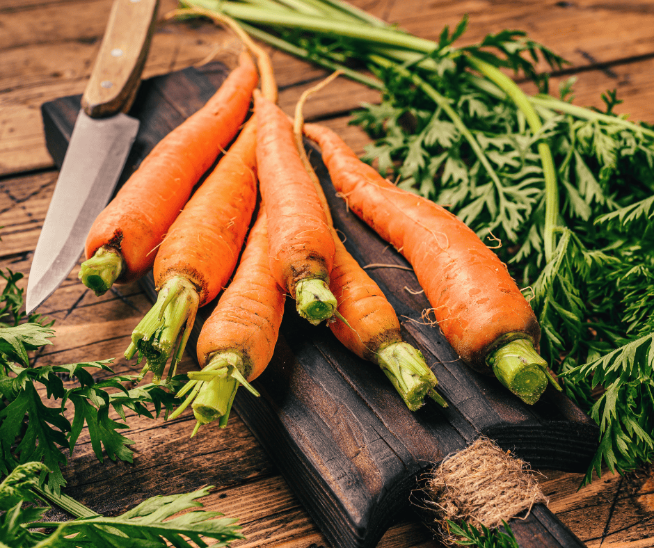 Freshly harvest carrots