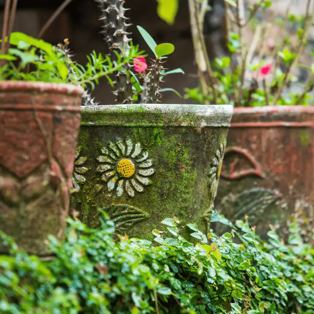 painted ceramic flower pots