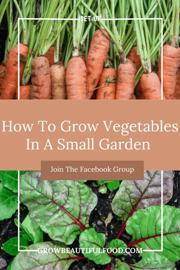 Cool season vegetables WIth Overlay: How To Grow Vegetables In A Small Garden