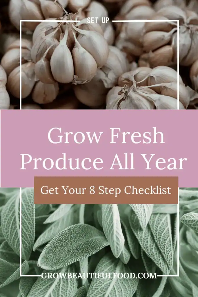 Garlic and sage harvest with overlay: Grow Fresh Produce All Year